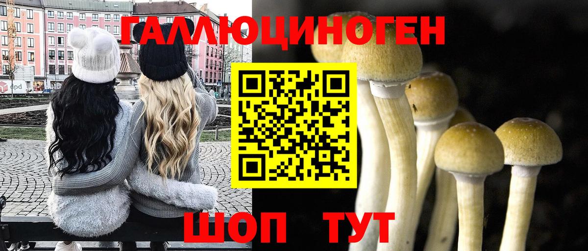 Псилоцибиновые грибы Городец