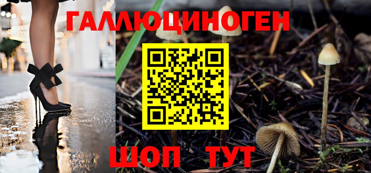 Галлюциногенные грибы мицелий  Псилоцибиновые грибы мухоморы  Городец  Вход с VPN 
